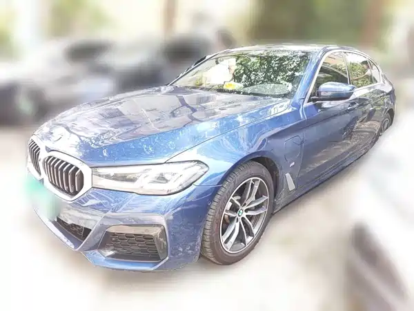 BMW 5 Series New Energy 2021
