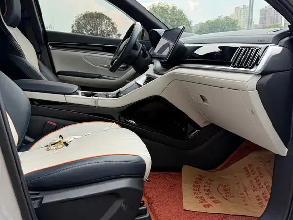 BYD Song PLUS New Energy 2025