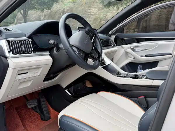 BYD Song PLUS New Energy 2025