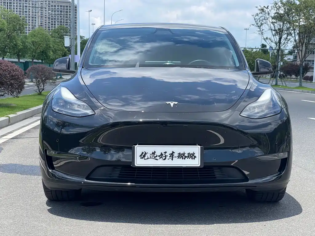 Tesla Model Y 2021 — фото 2