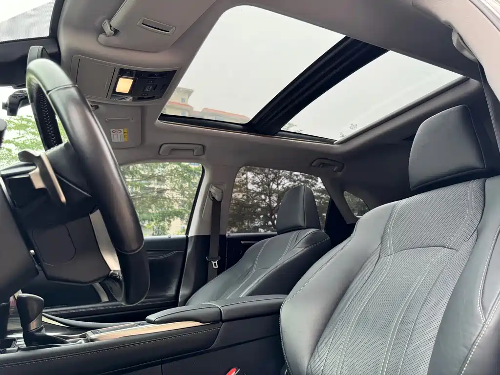 Lexus RX 2019 — фото 18