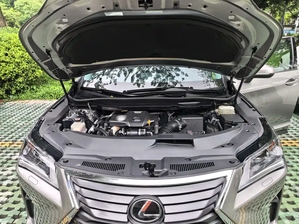 Lexus RX 2019 — фото 11
