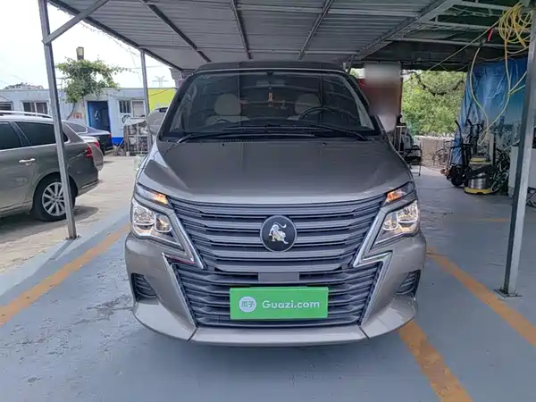 Dongfeng Lingzhi 2025