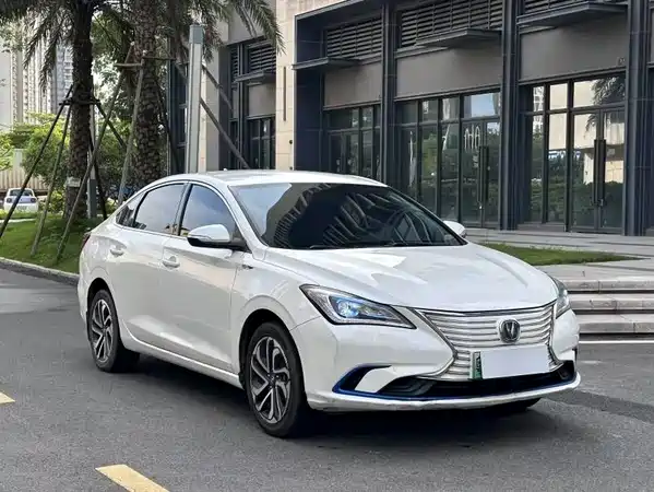 Changan Yidong New Energy 2019