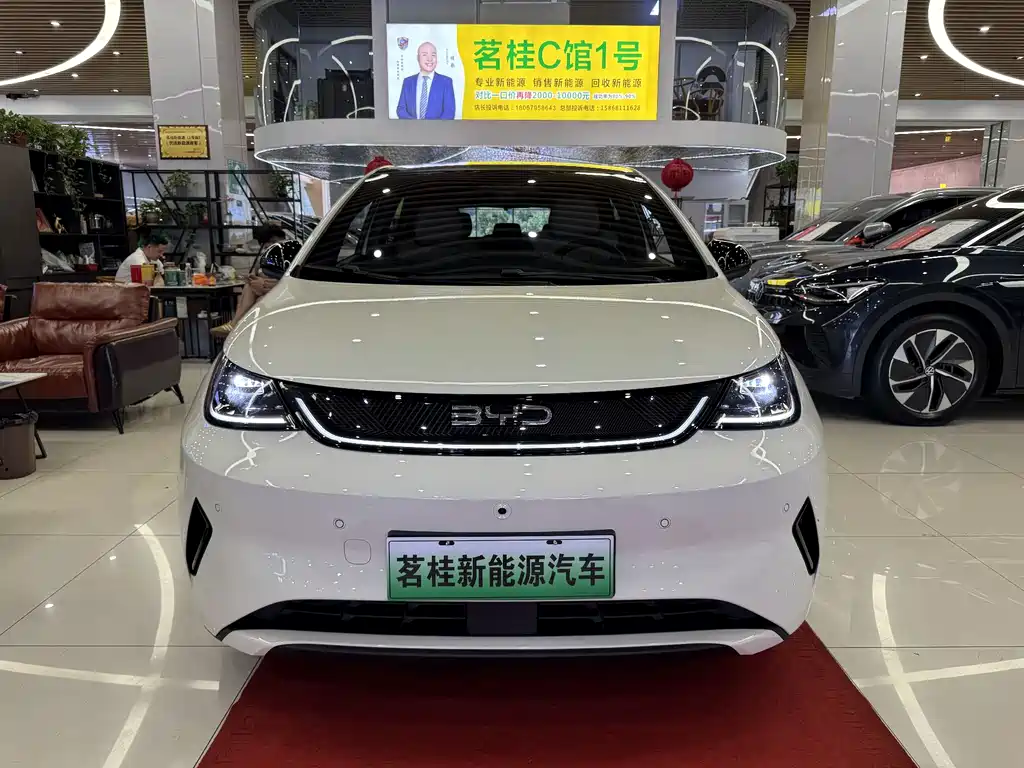 BYD Dolphin 2025