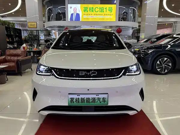 BYD Dolphin 2025
