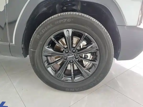 Haval Raptors New Energy 2024