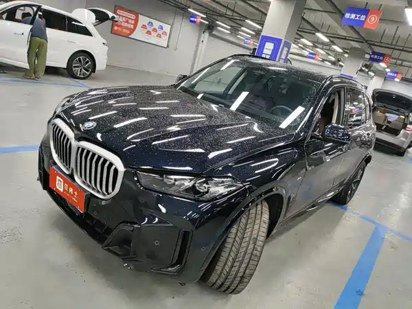 BMW X5 2025