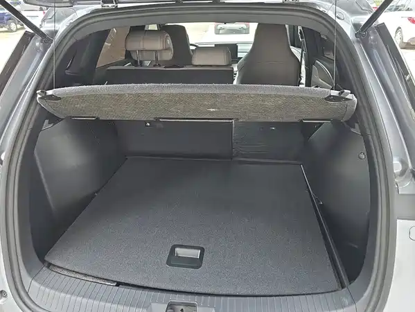 BYD Song Pro New Energy 2024