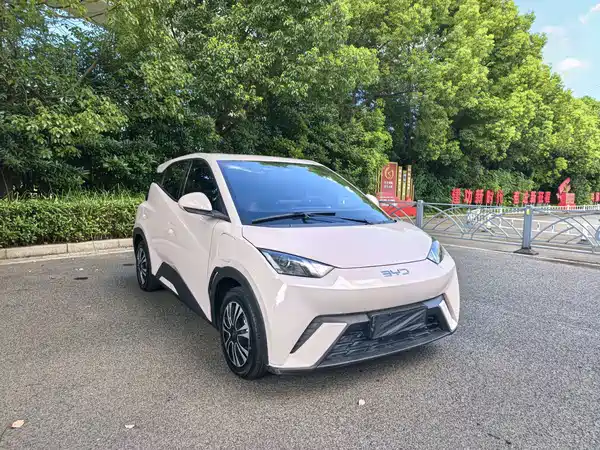 BYD Seagull 2024