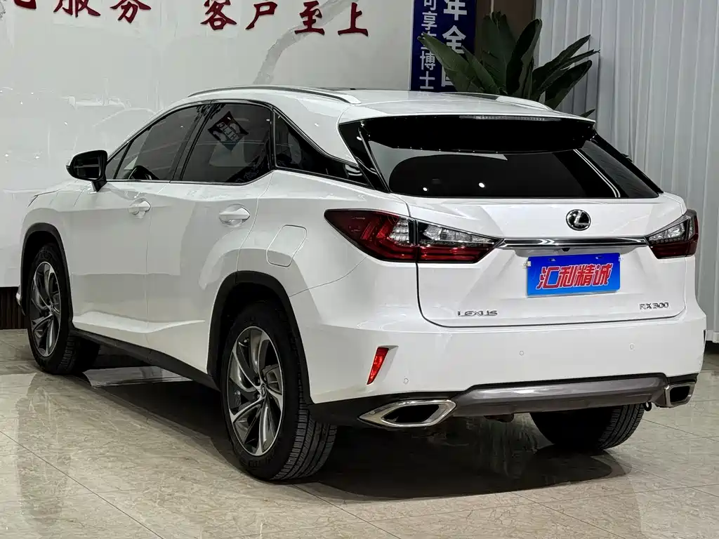 Lexus RX 2019 — фото 21
