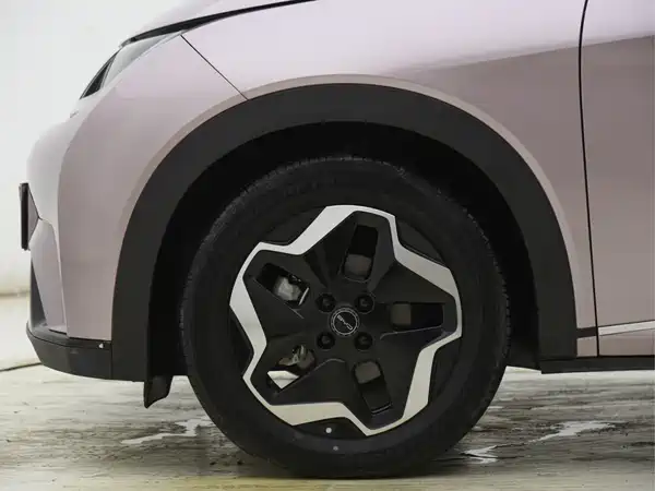 BYD Dolphin 2022