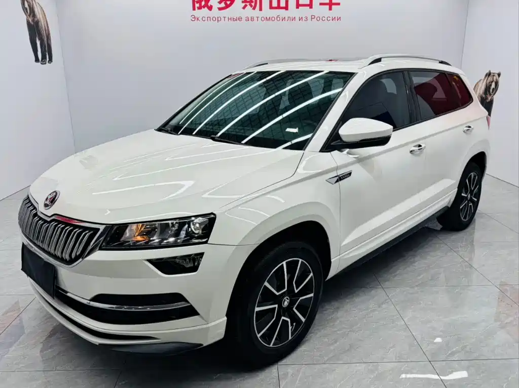 Skoda Karoq 2023 — фото 1