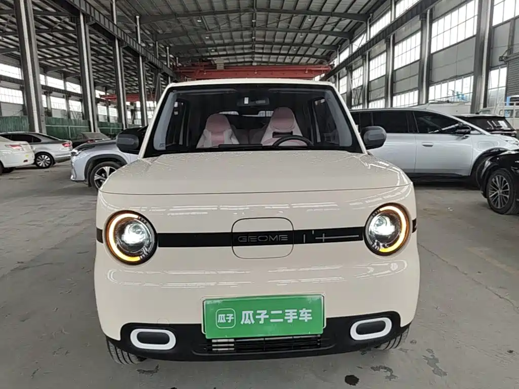 Geely Galaxy Panda 2026