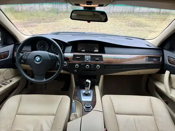 BMW 5 Series 2010
