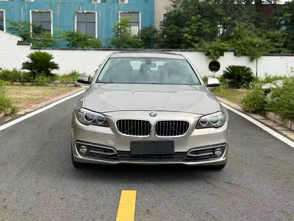 BMW 5 Series 2016 — фото 2