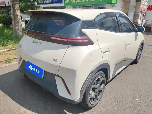 BYD Seagull 2025