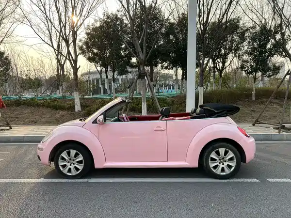 Volkswagen Beetle 2010