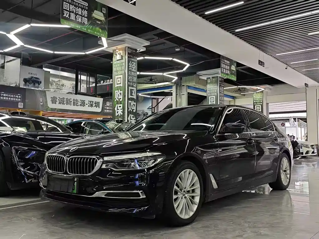 BMW 5 Series New Energy 2019