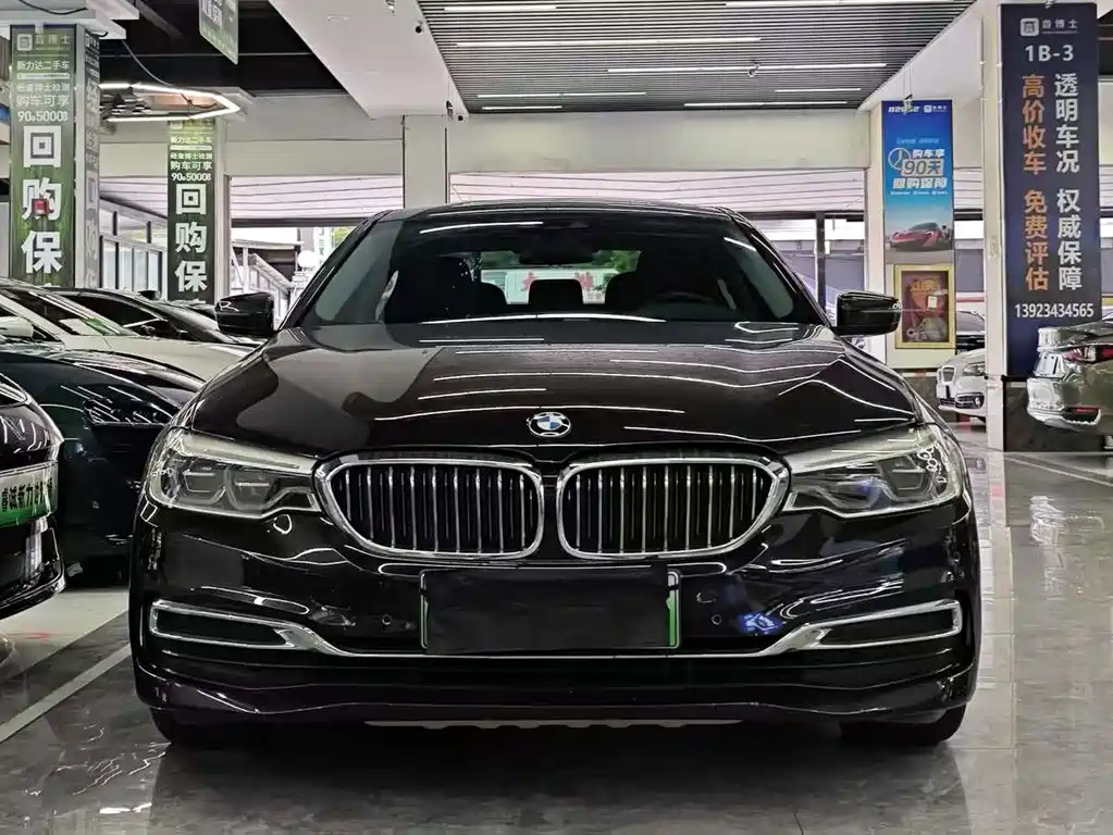 BMW 5 Series New Energy 2019