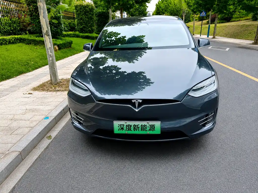 Tesla Model X 2019 — фото 2