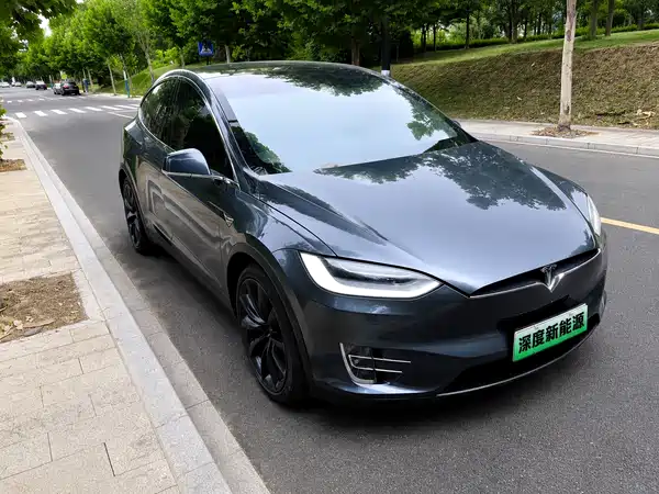 Tesla Model X 2019