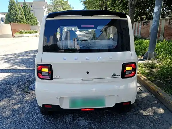 Geely Galaxy Panda 2026
