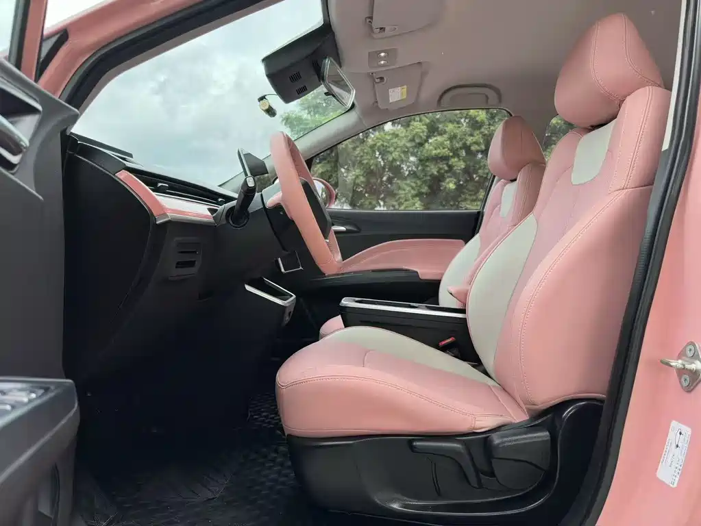 Neta V 2023