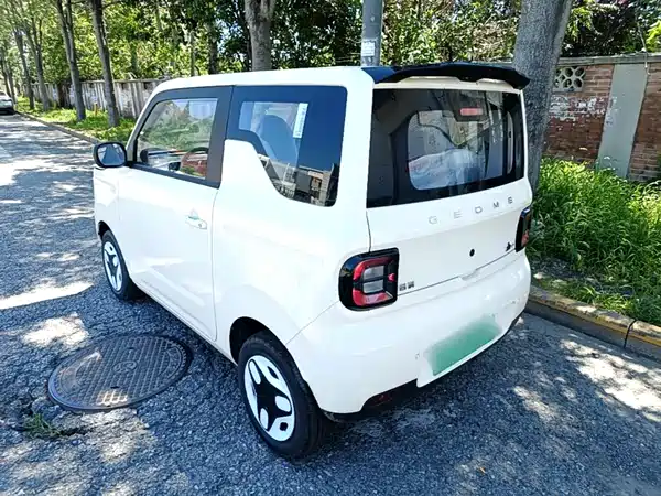 Geely Galaxy Panda 2026