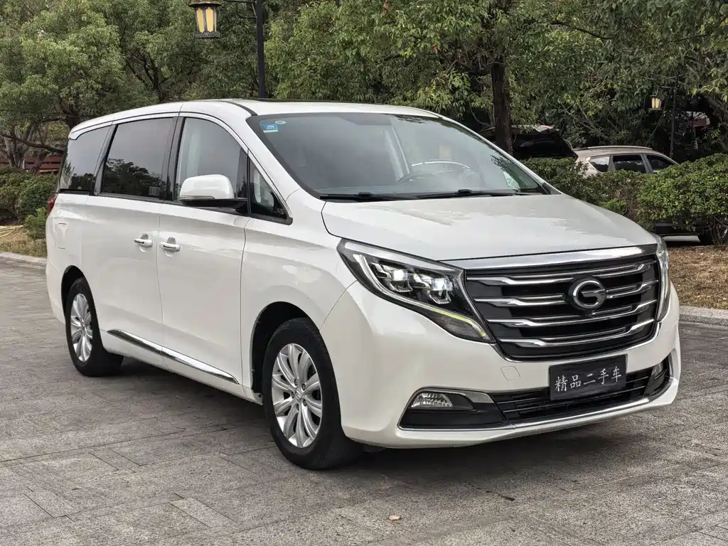 GAC Motor Trumpchi M8 2020 — фото 3
