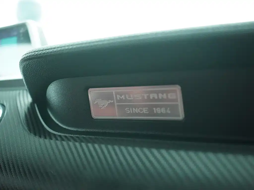 Ford Mustang 2016 — фото 19