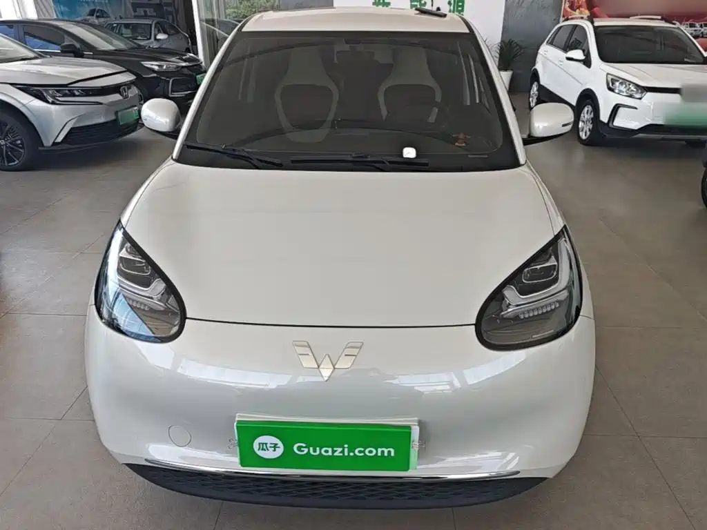 Wuling Bingo 2024