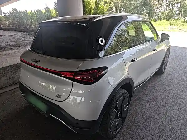 smart #1 2024