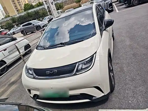 BYD Dolphin 2024