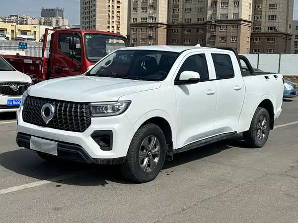 Great Wall Poer 2023