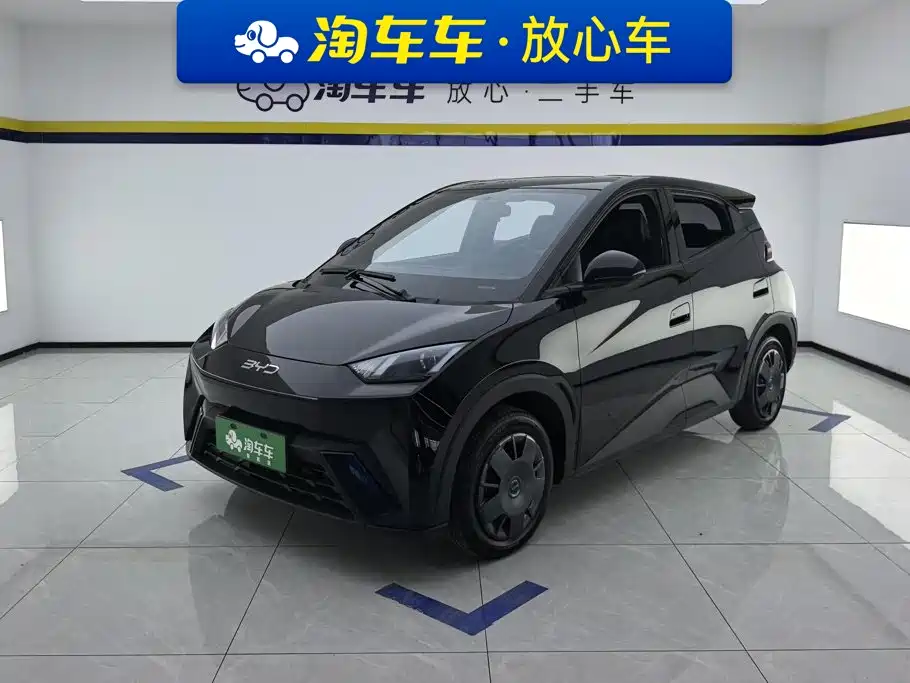 BYD Seagull 2024