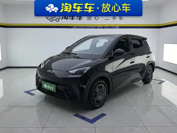 BYD Seagull 2024