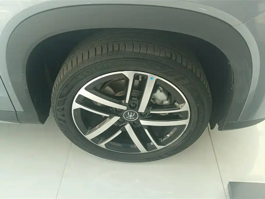 BYD L DM-i 2024 — фото 6