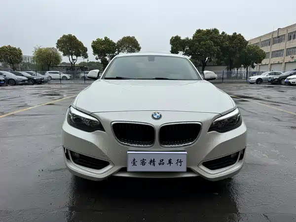 BMW 2 Series 2015