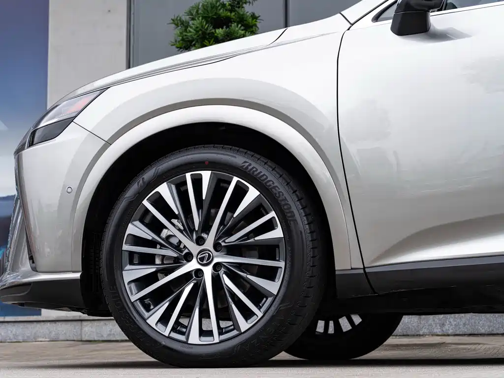 Lexus RX New Energy 2023 — фото 8