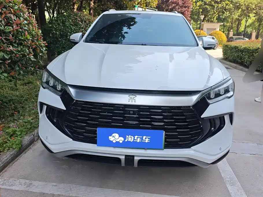 BYD Pro New Energy 2024 — фото 2