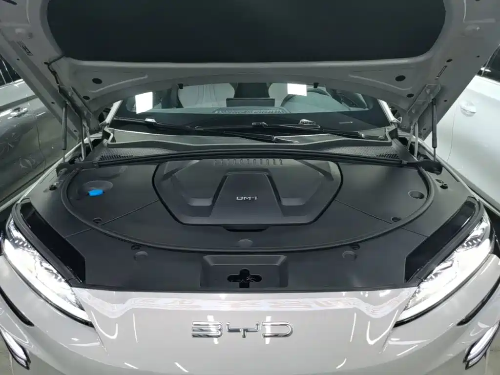BYD PLUS New Energy 2023 — фото 20