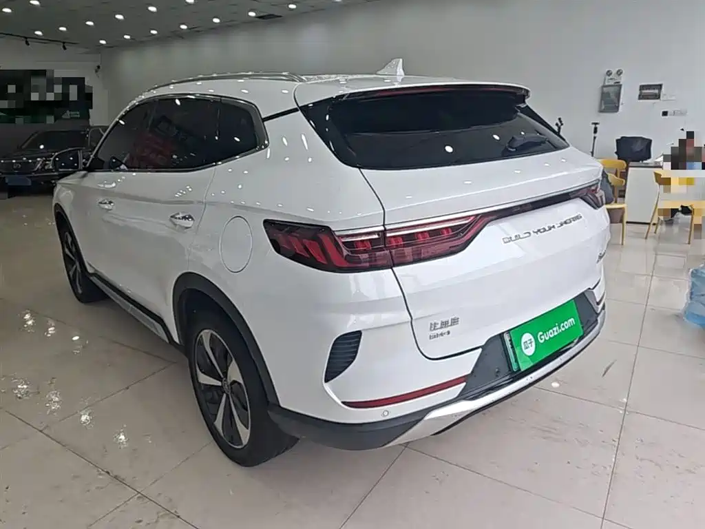 BYD PLUS New Energy 2021 — фото 5