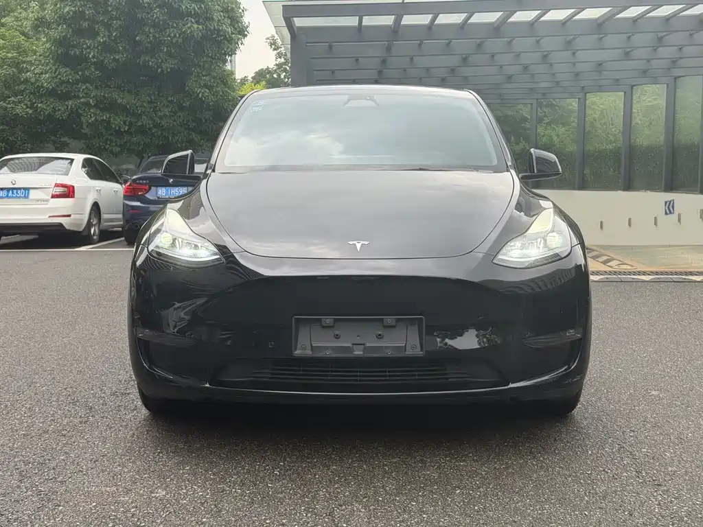 Tesla Model Y 2023 — фото 2