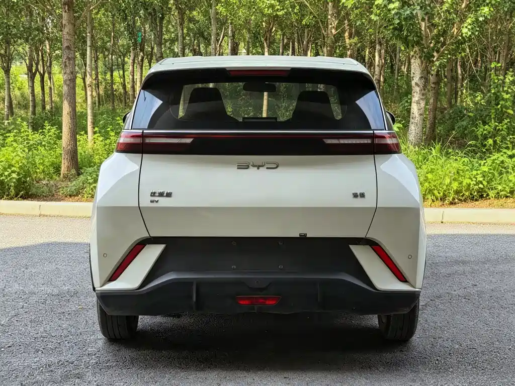 BYD Seagull 2025