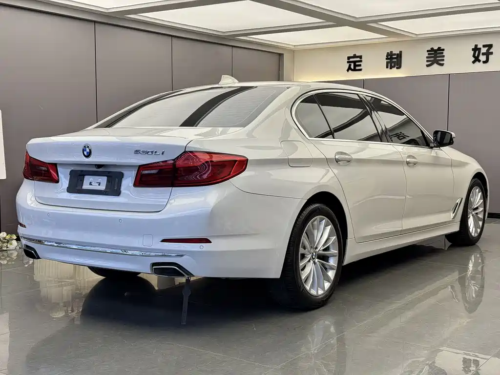 BMW 5 Series 2019 — фото 14
