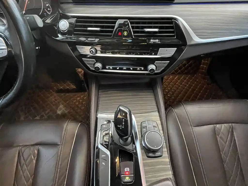 BMW 5 Series New Energy 2019
