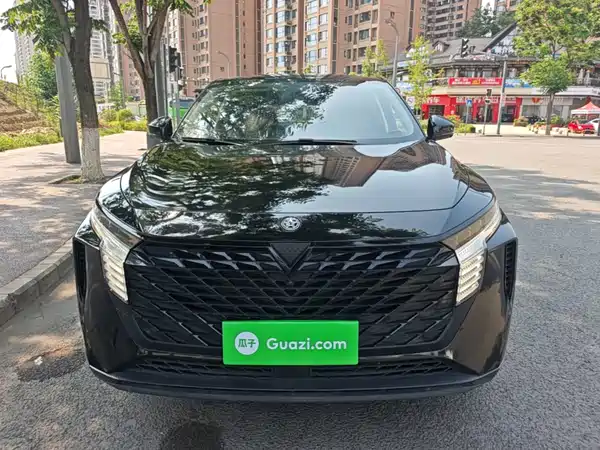 Venucia Big V 2023