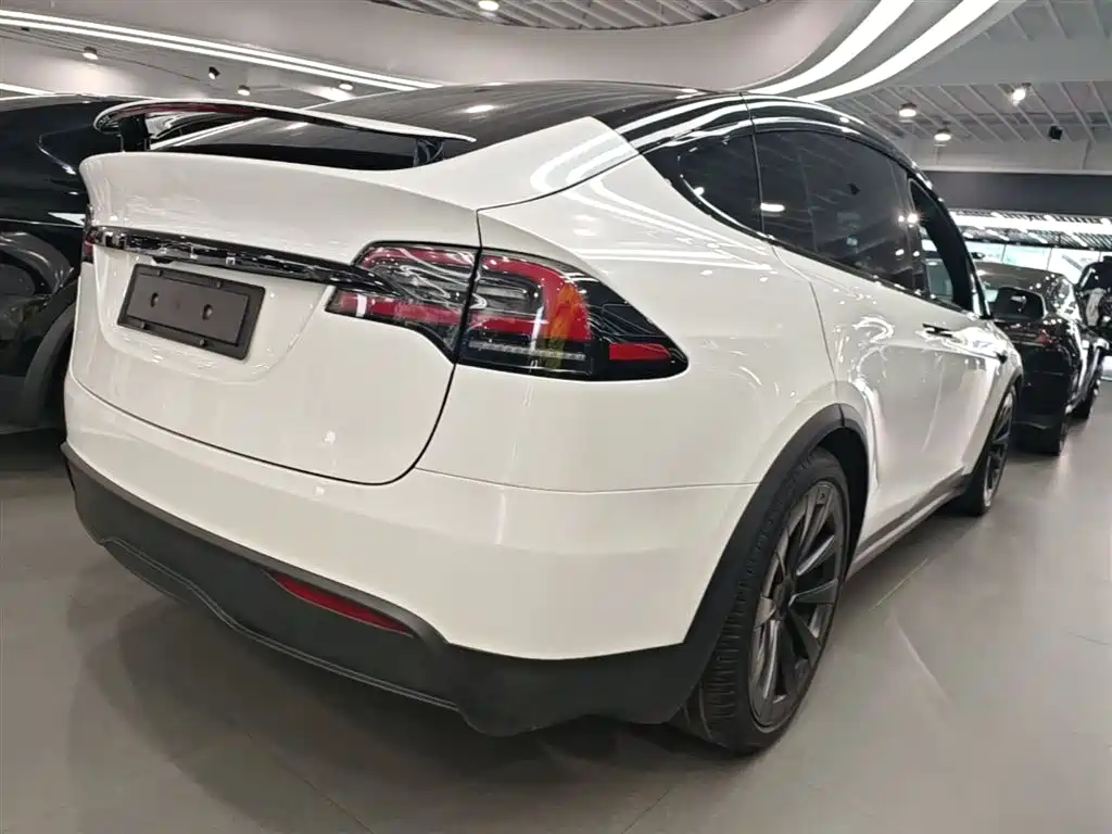 Tesla Model X 2023 — фото 7