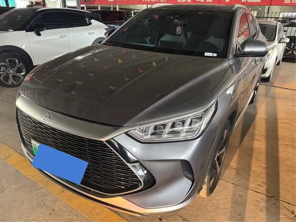 BYD Song PLUS New Energy 2022 — фото 1